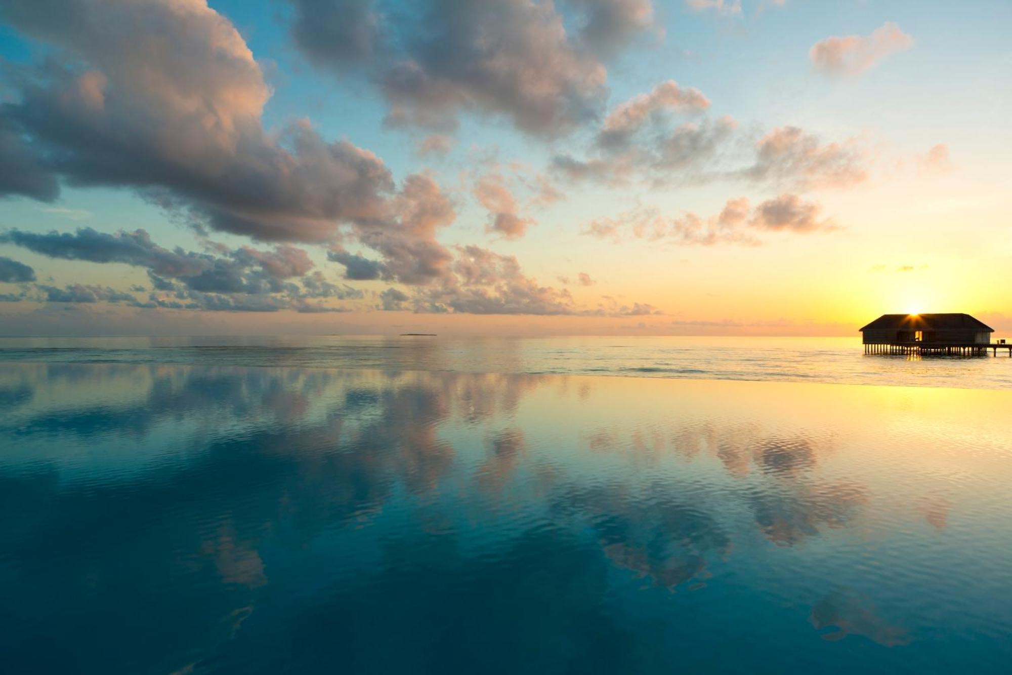 Resort Dusit Thani Maldives - 50 Percent Discount On Transfers For Until 20 Dec 2025 Amilla Fushi