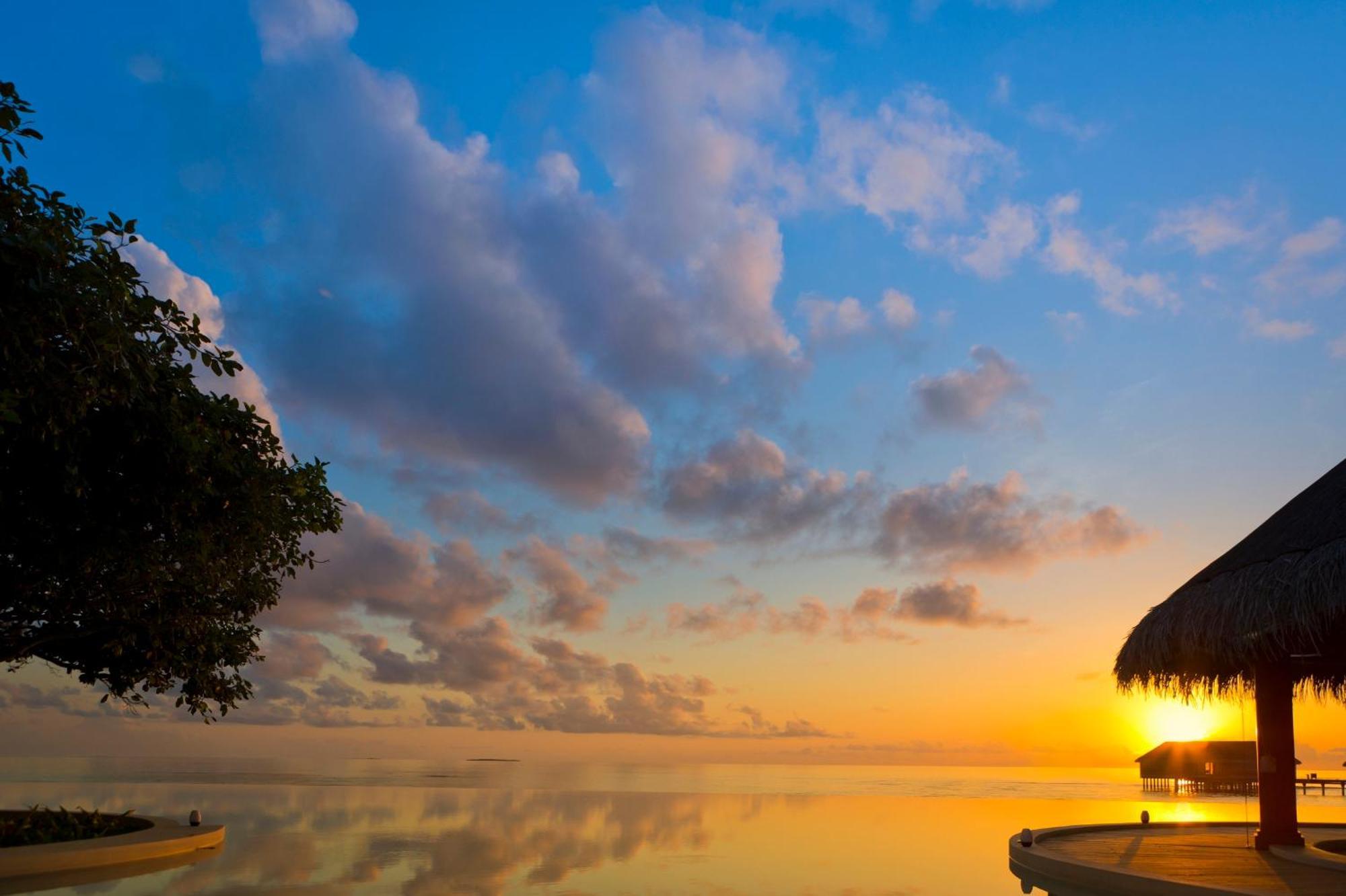 Dusit Thani Maldives - 50 Percent Discount On Transfers For Until 20 Dec 2025 5* Amilla Fushi