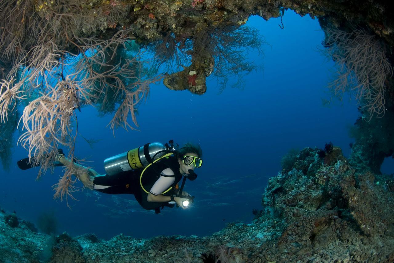 Resort Dusit Thani Maldives - 50 Percent Discount On Transfers For Until 20 Dec 2025 5*