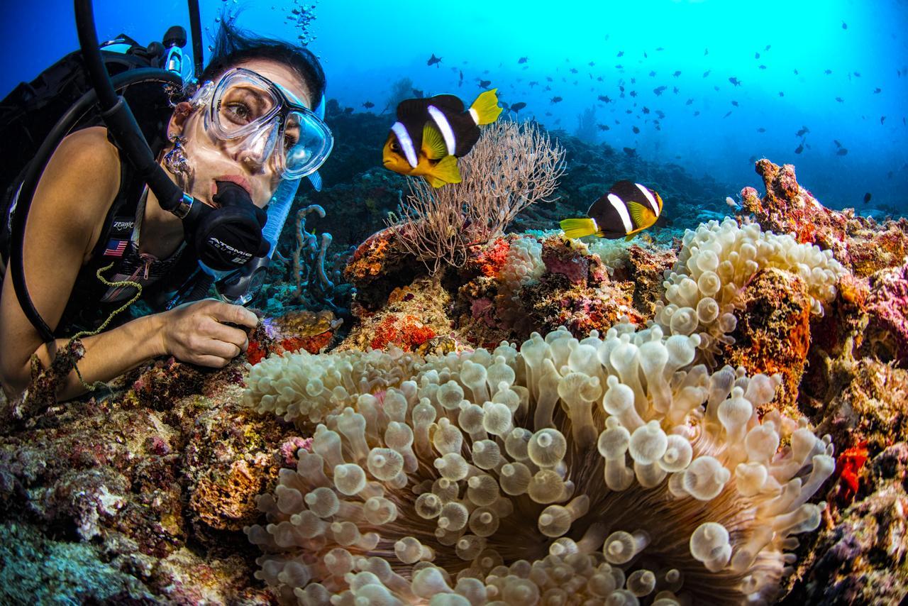 Dusit Thani Maldives - 50 Percent Discount On Transfers For Until 20 Dec 2025 Resort