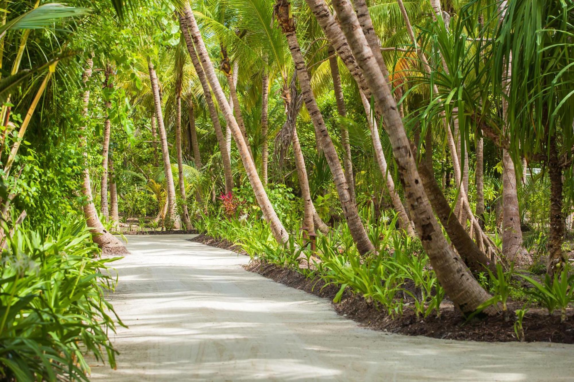 Dusit Thani Maldives - 50 Percent Discount On Transfers For Until 20 Dec 2025 5* Amilla Fushi