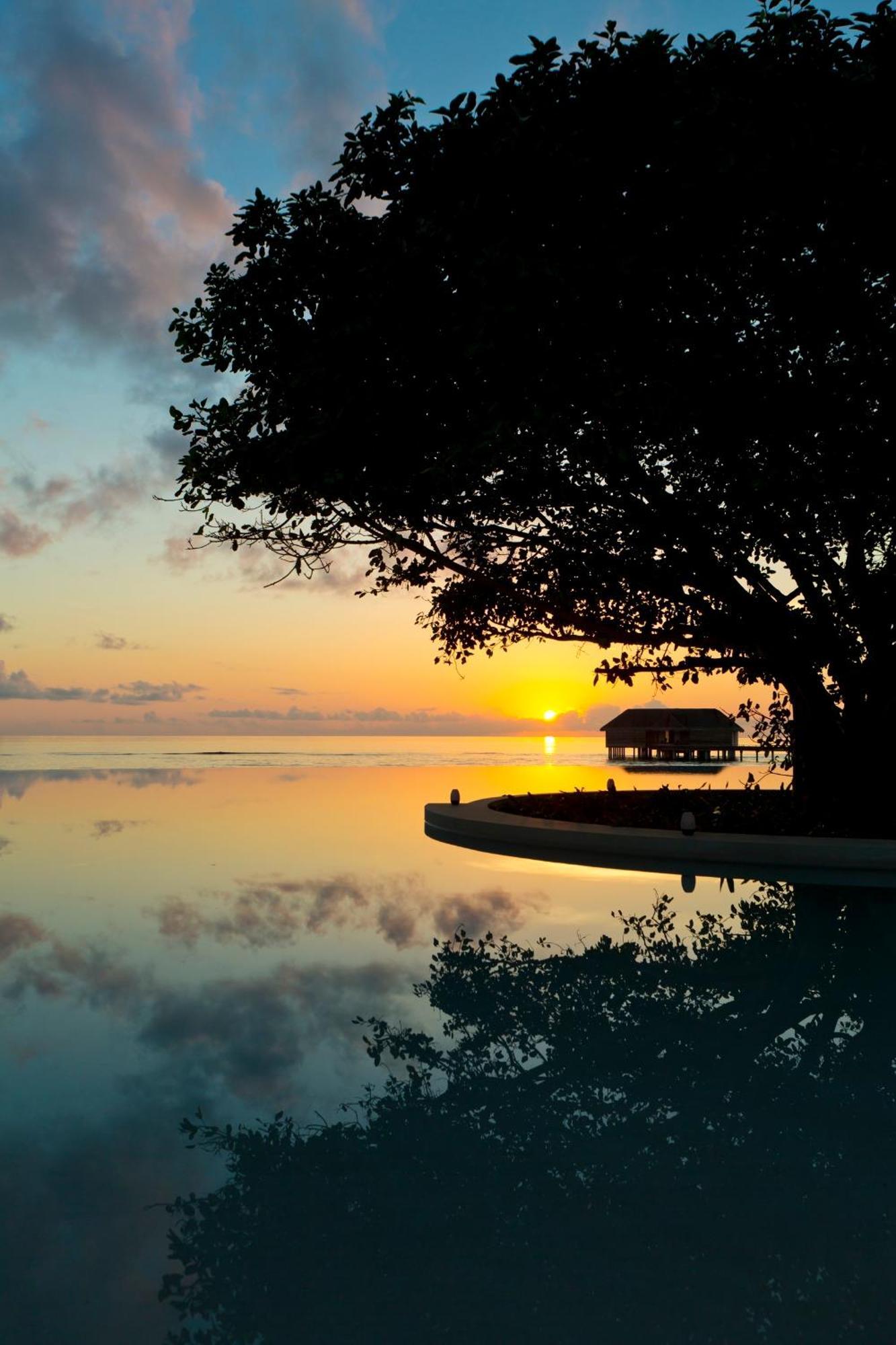 Dusit Thani Maldives - 50 Percent Discount On Transfers For Until 20 Dec 2025 5*