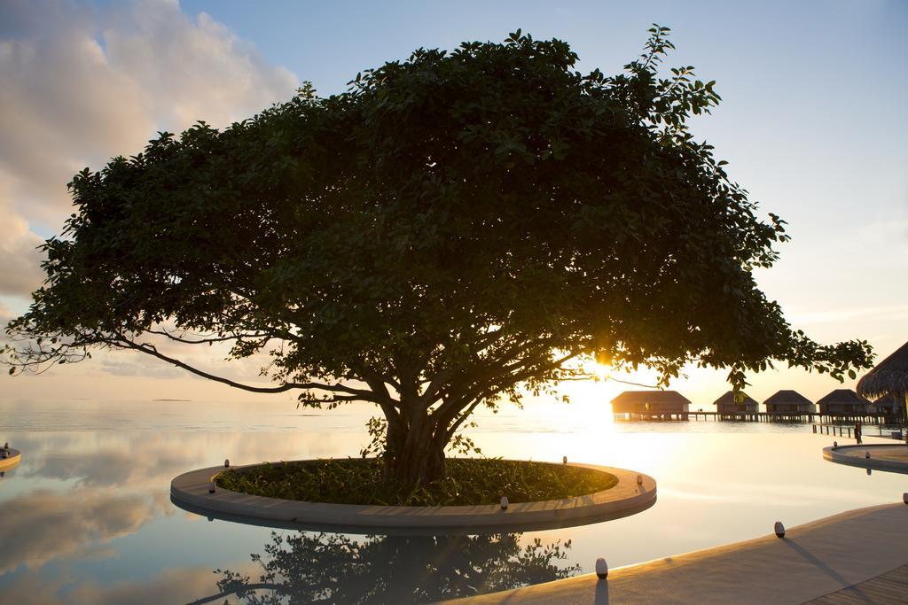 Dusit Thani Maldives - 50 Percent Discount On Transfers For Until 20 Dec 2025 Amilla Fushi